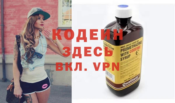 хмурый Вяземский