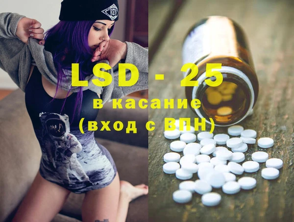 хмурый Вяземский