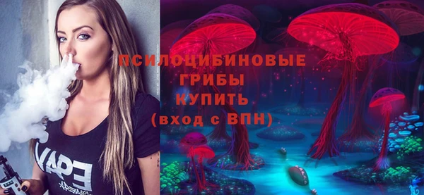 хмурый Вяземский